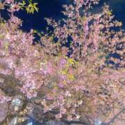 ヒメ日記 2026/03/20 22:08 投稿 いちか まつど女学園