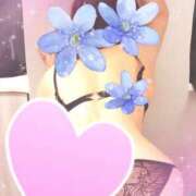 ヒメ日記 2025/04/15 11:51 投稿 麻結(まゆ) 人妻城 横浜本店