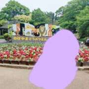 ヒメ日記 2025/05/16 17:25 投稿 麻結(まゆ) 人妻城 横浜本店