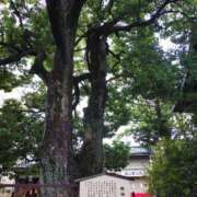 ヒメ日記 2025/06/10 17:02 投稿 麻結(まゆ) 人妻城 横浜本店