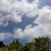 ヒメ日記 2025/07/13 13:10 投稿 麻結(まゆ) 人妻城 横浜本店