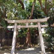 ヒメ日記 2025/09/02 12:33 投稿 麻結(まゆ) 人妻城 横浜本店