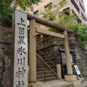 ヒメ日記 2025/09/29 14:00 投稿 麻結(まゆ) 人妻城 横浜本店