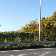 ヒメ日記 2025/12/01 09:45 投稿 麻結(まゆ) 人妻城 横浜本店