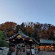 ヒメ日記 2025/12/07 16:30 投稿 麻結(まゆ) 人妻城 横浜本店