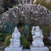 ヒメ日記 2026/02/22 16:08 投稿 麻結(まゆ) 人妻城 横浜本店