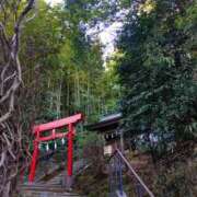 ヒメ日記 2026/03/01 15:26 投稿 麻結(まゆ) 人妻城 横浜本店