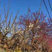 ヒメ日記 2026/03/01 18:07 投稿 麻結(まゆ) 人妻城 横浜本店