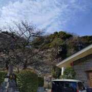 ヒメ日記 2026/03/23 16:03 投稿 麻結(まゆ) 人妻城 横浜本店