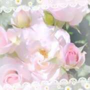 ヒメ日記 2025/06/29 12:03 投稿 あすか 逢って30秒で即尺