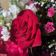 ヒメ日記 2025/03/29 21:50 投稿 宮原 MadameRest(マダムレスト)