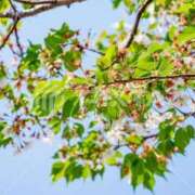 ヒメ日記 2025/04/15 17:32 投稿 宮原 MadameRest(マダムレスト)