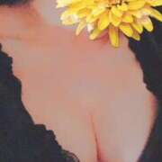 ヒメ日記 2025/04/24 18:25 投稿 宮原 MadameRest(マダムレスト)