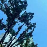 ヒメ日記 2025/05/03 11:53 投稿 宮原 MadameRest(マダムレスト)