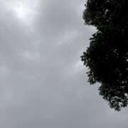 ヒメ日記 2025/05/24 17:29 投稿 宮原 MadameRest(マダムレスト)