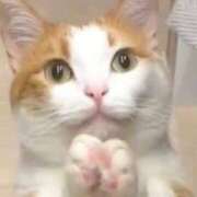 ヒメ日記 2025/06/17 00:44 投稿 宮原 MadameRest(マダムレスト)