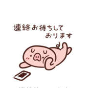 ヒメ日記 2025/06/19 14:49 投稿 宮原 MadameRest(マダムレスト)