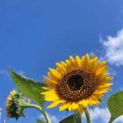 ヒメ日記 2025/06/20 14:47 投稿 宮原 MadameRest(マダムレスト)