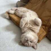 ヒメ日記 2025/06/20 19:32 投稿 宮原 MadameRest(マダムレスト)