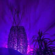 ヒメ日記 2025/06/24 19:42 投稿 宮原 MadameRest(マダムレスト)