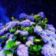 ヒメ日記 2025/06/26 01:54 投稿 宮原 MadameRest(マダムレスト)