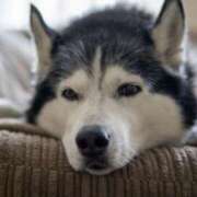 ヒメ日記 2025/07/18 08:33 投稿 宮原 MadameRest(マダムレスト)