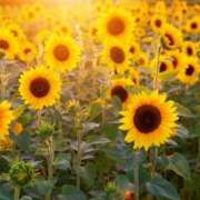 ヒメ日記 2025/07/28 17:48 投稿 宮原 MadameRest(マダムレスト)