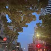 ヒメ日記 2025/08/04 04:25 投稿 宮原 MadameRest(マダムレスト)