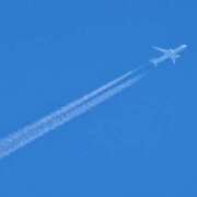 ヒメ日記 2025/08/20 16:04 投稿 宮原 MadameRest(マダムレスト)