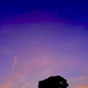 ヒメ日記 2025/08/23 18:57 投稿 宮原 MadameRest(マダムレスト)