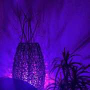 ヒメ日記 2025/08/23 19:14 投稿 宮原 MadameRest(マダムレスト)