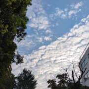 ヒメ日記 2025/08/25 06:38 投稿 宮原 MadameRest(マダムレスト)