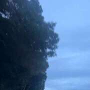 ヒメ日記 2025/09/03 18:05 投稿 宮原 MadameRest(マダムレスト)