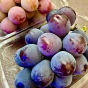 ヒメ日記 2025/09/05 19:15 投稿 宮原 MadameRest(マダムレスト)