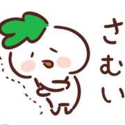 ヒメ日記 2025/09/22 16:53 投稿 宮原 MadameRest(マダムレスト)