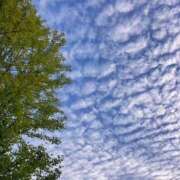 ヒメ日記 2025/10/03 07:26 投稿 宮原 MadameRest(マダムレスト)