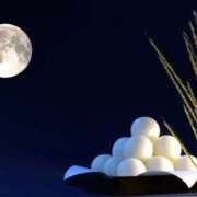 ヒメ日記 2025/10/06 19:23 投稿 宮原 MadameRest(マダムレスト)