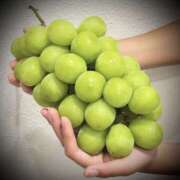 ヒメ日記 2025/10/17 17:15 投稿 宮原 MadameRest(マダムレスト)