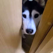 ヒメ日記 2025/10/26 08:25 投稿 宮原 MadameRest(マダムレスト)