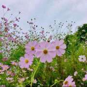 ヒメ日記 2025/11/04 21:26 投稿 宮原 MadameRest(マダムレスト)