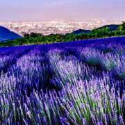 ヒメ日記 2025/11/09 19:27 投稿 宮原 MadameRest(マダムレスト)