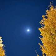 ヒメ日記 2025/11/28 20:53 投稿 宮原 MadameRest(マダムレスト)