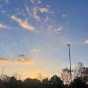 ヒメ日記 2025/11/29 07:22 投稿 宮原 MadameRest(マダムレスト)