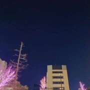 ヒメ日記 2025/12/15 20:13 投稿 宮原 MadameRest(マダムレスト)