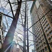 ヒメ日記 2026/01/19 12:29 投稿 宮原 MadameRest(マダムレスト)