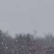 ヒメ日記 2026/02/07 17:06 投稿 宮原 MadameRest(マダムレスト)