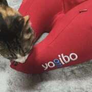 ヒメ日記 2026/02/13 07:59 投稿 宮原 MadameRest(マダムレスト)