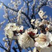 ヒメ日記 2026/02/19 14:20 投稿 宮原 MadameRest(マダムレスト)