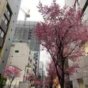 ヒメ日記 2026/02/27 17:54 投稿 宮原 MadameRest(マダムレスト)