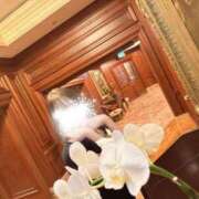 ヒメ日記 2026/02/21 08:11 投稿 美琴【ミコト】 club MARIA(大阪)